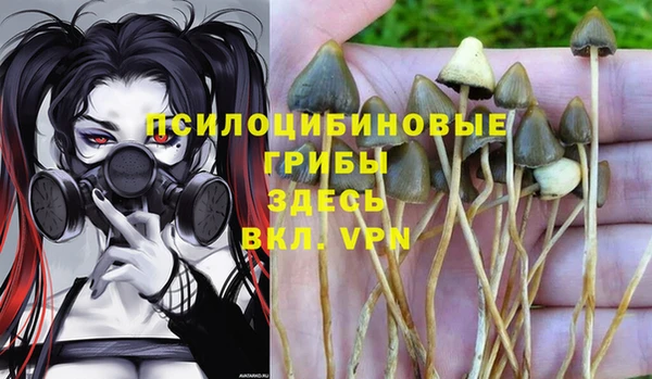 скорость Абаза