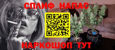 a pvp Пугачёв