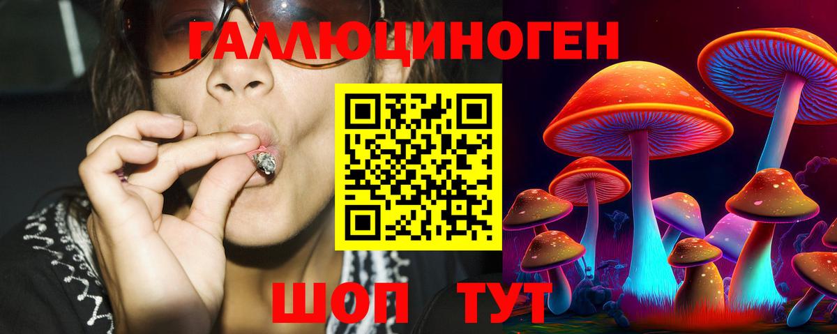 Псилоцибиновые грибы GOLDEN TEACHER Янаул