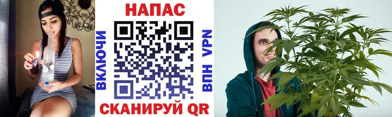 Каннабис гибрид  Янаул 